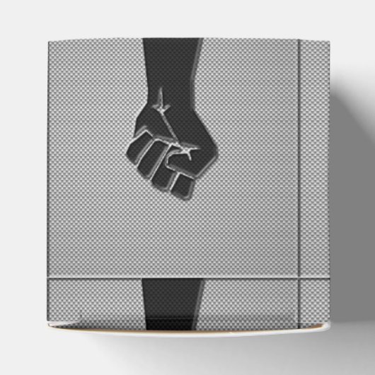 連帯拳カーボンファイバーデコールスタイル フェイバーボックス (上部)