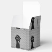 連帯拳カーボンファイバーデコールスタイル フェイバーボックス (オープン)