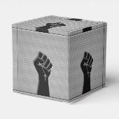 連帯拳カーボンファイバーデコールスタイル フェイバーボックス (裏面サイド)