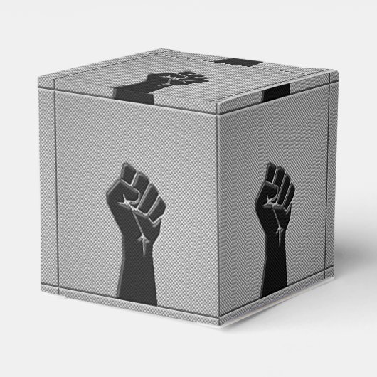 連帯拳カーボンファイバーデコールスタイル フェイバーボックス (裏面サイド)