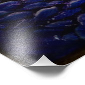 連結ニューロン フォトプリント            (角)