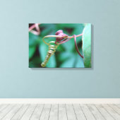 連絡つる植物 キャンバスプリント (インサイチュ (ウッドフロア))