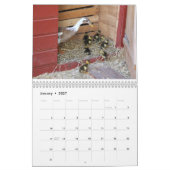 連続したアヒル カレンダー (1月 2027)