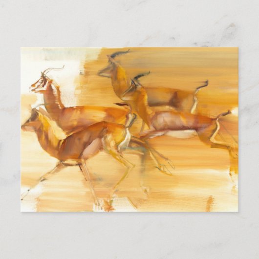 連続したガゼル2010年 ポストカード (正面)