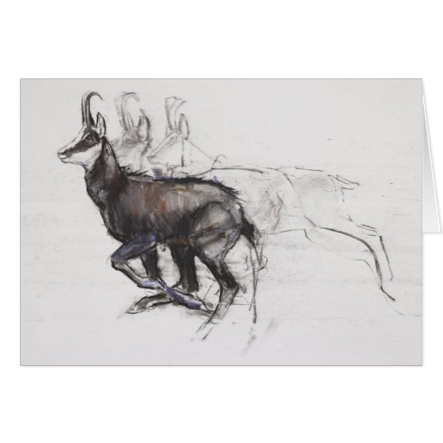 連続したセーム皮 (正面横)