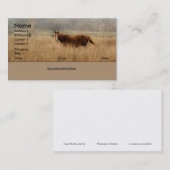 連続した自由な名刺 名刺 (正面/裏面)