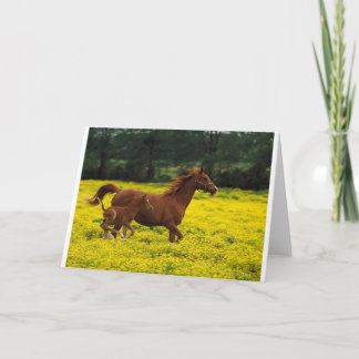 連続した自由 カード