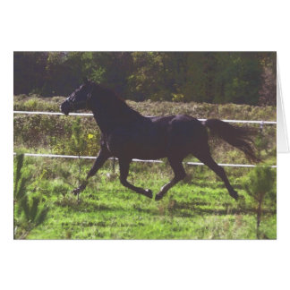 連続した馬カード