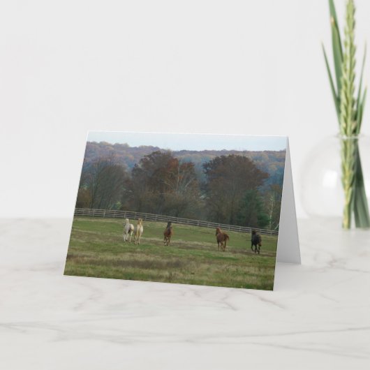 連続した馬、カード カード (正面)