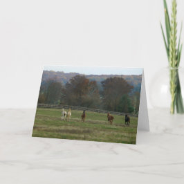 連続した馬、カード カード