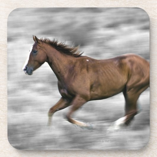 連続した馬 コースター (正面)