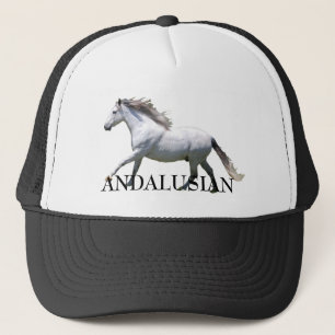 連続したANDALUSIAN キャップ