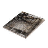 連続体II タイル (側面)