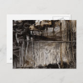 連続体II ポストカード (正面/裏面)