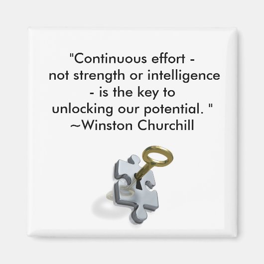 連続努力磁石 マグネット (正面)