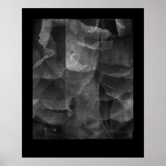 連続性のエクササイズ ポスター