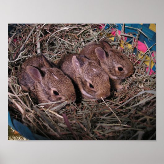 連続３つ ポスター (正面)