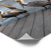 連続3ペリカン ポスター (角)