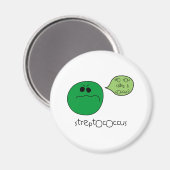 連鎖球菌 マグネット (正面/裏面)