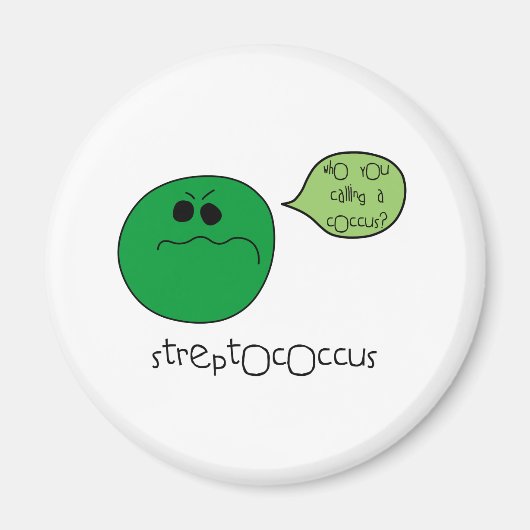 連鎖球菌 マグネット (正面)