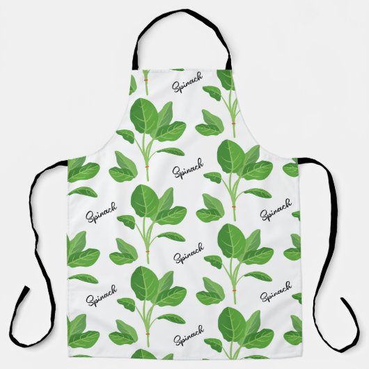 連隊 エプロン (正面)