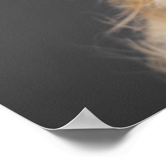 週遊5日 ポスター (角)