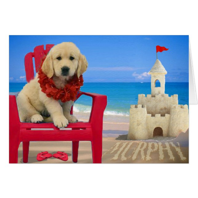 週8 -ビーチマーフィー (正面横)