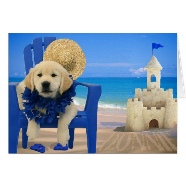 週8 -ビーチDonnie (正面横)