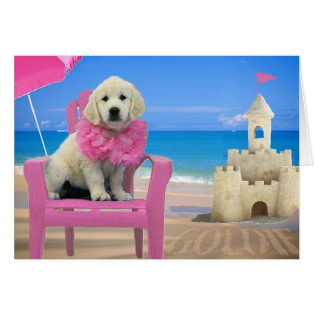 週8 -ビーチGoldie (正面横)