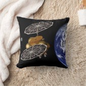 進入車両の火星任務での分離。 クッション (ブランケット)