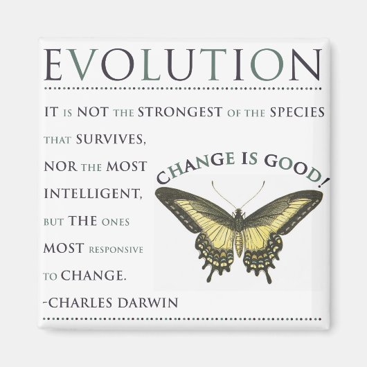 進化の変化 マグネット (正面)