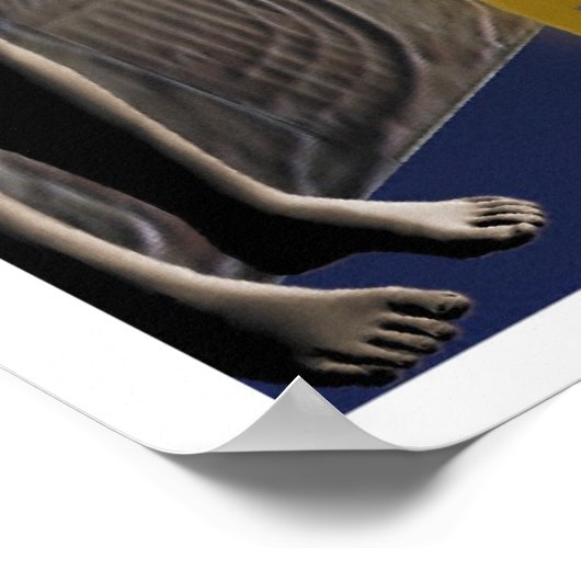 進化の経路 ポスター (角)