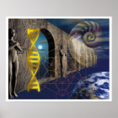 進化の経路 ポスター (正面)