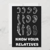 進化胚発生 シーズンカード (正面)