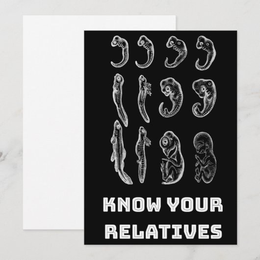 進化胚発生 シーズンカード (正面/裏面)