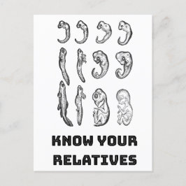 進化胚発生 ポストカード