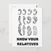 進化胚発生 ポストカード (正面/裏面)