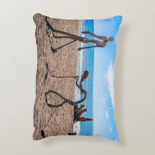 進化 アクセントクッション (裏面(縦))