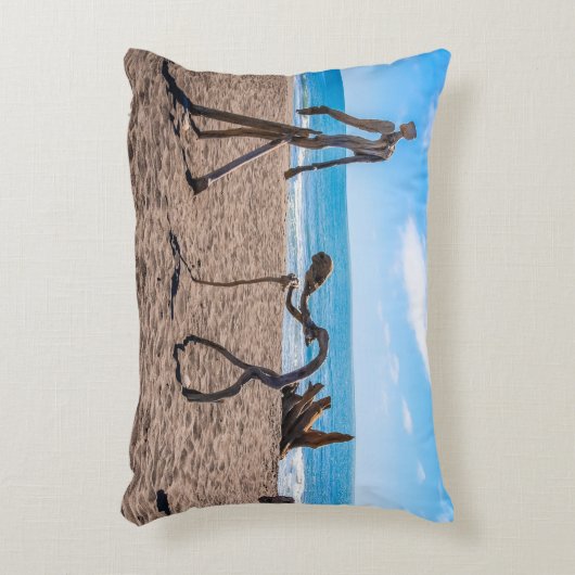 進化 アクセントクッション (正面(垂直))