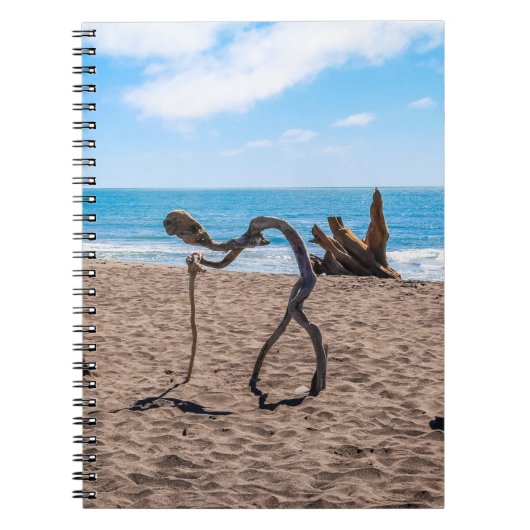 進化 ノートブック (正面)