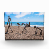 進化 フォトブロック (正面)