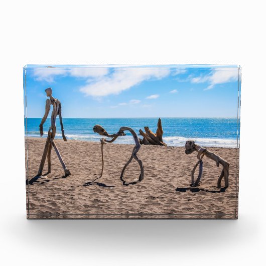 進化 フォトブロック (正面)