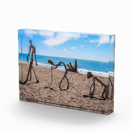 進化 フォトブロック