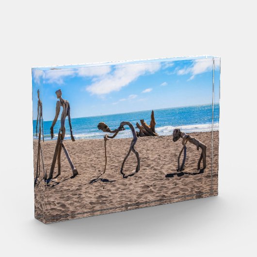 進化 フォトブロック (左)