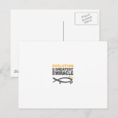 進化 ポストカード (正面/裏面)