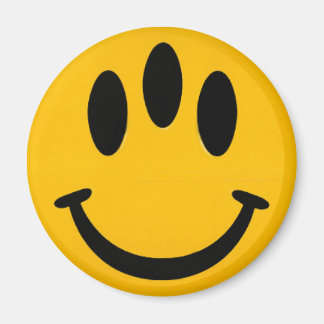 進化 マグネット