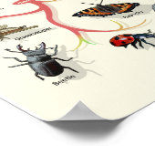 進化 – 生命の木 – ポスター (角)