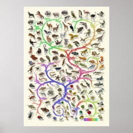 進化 – 生命の木 – ポスター