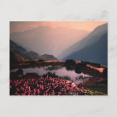 進歩 ポストカード (正面)