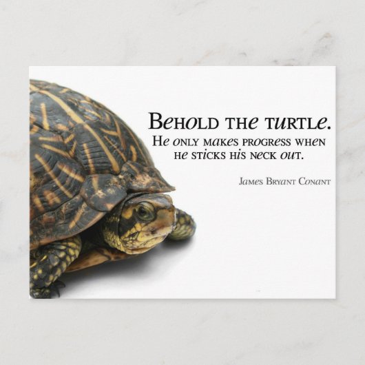 進行状況 ポストカード (正面)